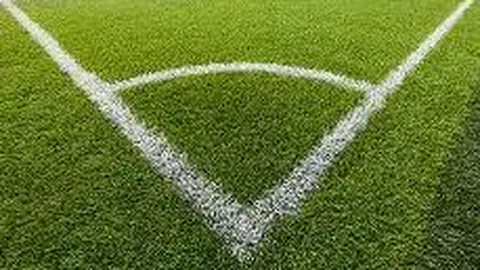 宣泰医药控股股东联和投资承诺两年内不减持股份