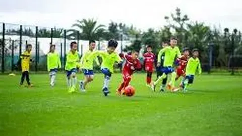 电竞体育竞猜平台 产品 142335 ydi