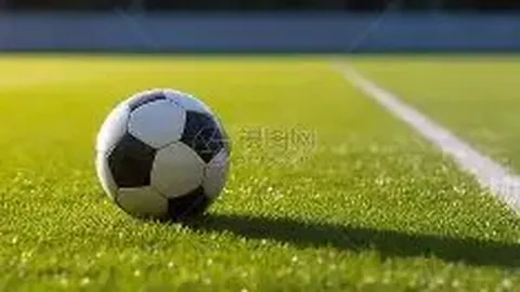 电竞体育竞猜平台 资讯 141921 870